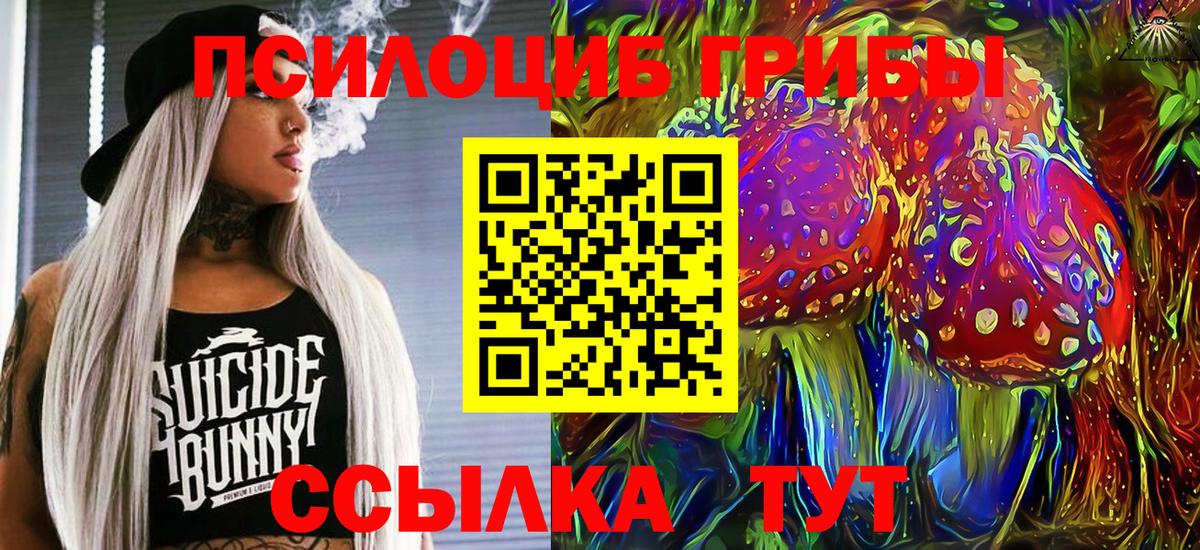 Псилоцибиновые грибы мухоморы Сертолово